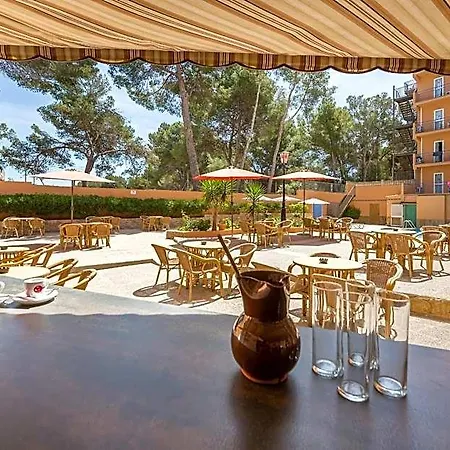 酒店 Costa Mediterraneo - Only Adults 16 埃尔阿雷纳尔
