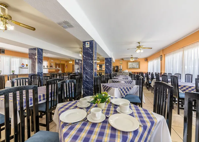 Costa Mediterraneo - Only Adults 16 2* El Arenal (Mallorca)