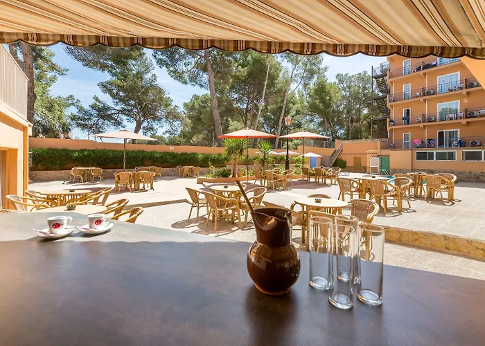 Hotel Costa Mediterraneo - Only Adults 16 El Arenal (Mallorca)